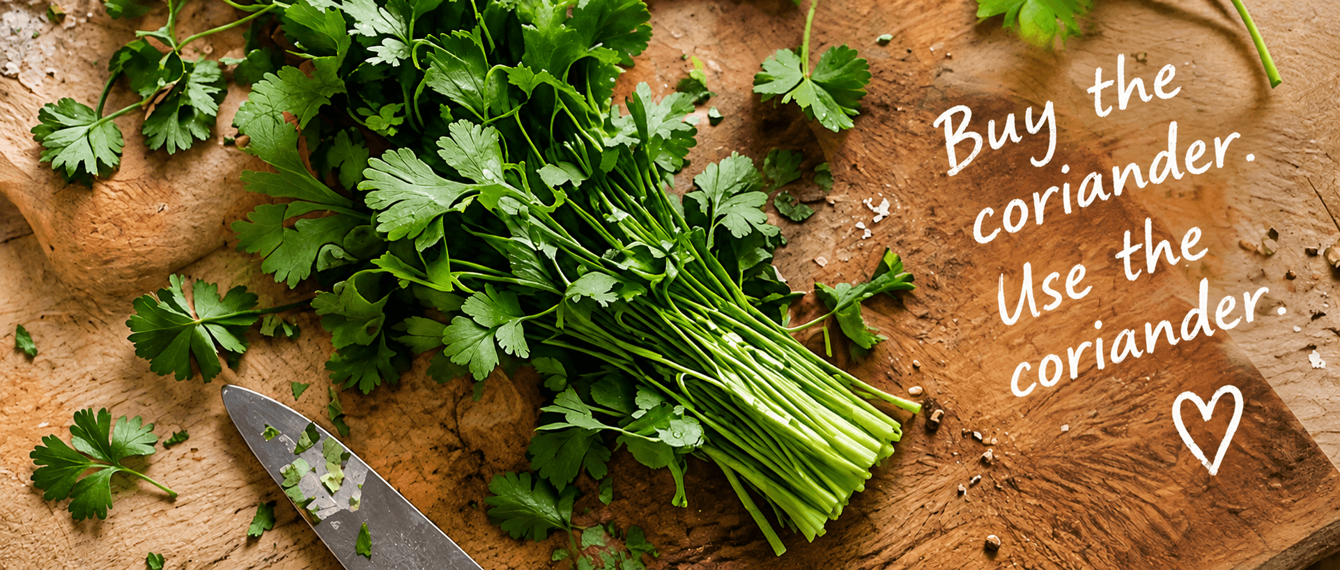 A bunch of coriander